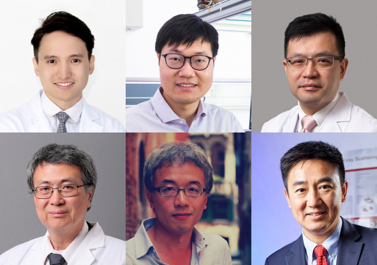 upper row from left:
Dr. Ho KO (CUHK), Dr. Cheng WANG (CityU), Professor Man Fung YUEN (HKU)
lower row from left:
Professor Jiandong HUANG (HKU), Professor Randy Yat Choi POON (HKUST), Professor Xunli WANG (CityU)